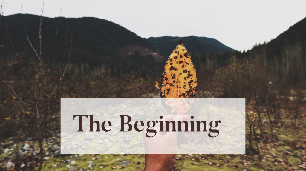 Into Nature – The Beginning